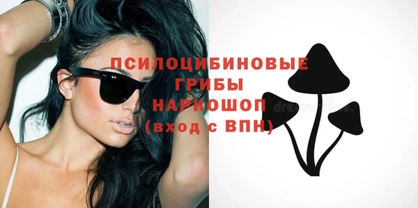 винт Алексин
