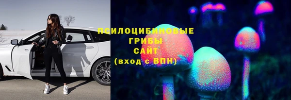 МДПВ Алзамай