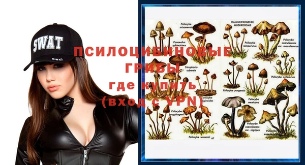 винт Алексин