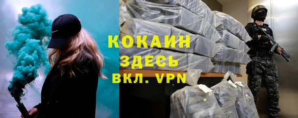 винт Алексин